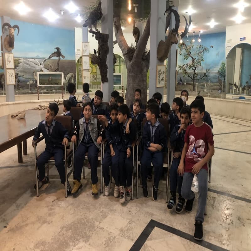 اردوی حیات وحش 