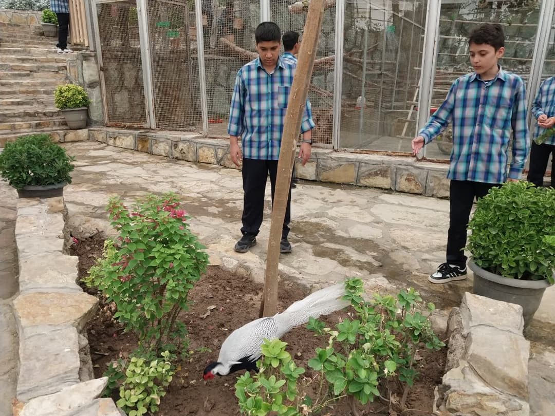 باغ پرندگان 1403