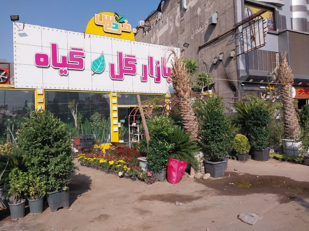 تصویر مقاله